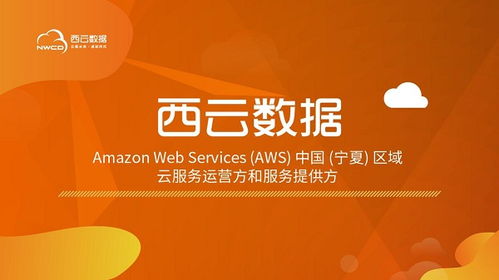 西云數(shù)據(jù)榮獲2020工業(yè)互聯(lián)網(wǎng)應用創(chuàng)新獎 數(shù)據(jù)處理服務引領行業(yè)變革