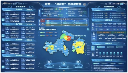 重慶7個案例獲評全國數字化監管典型，數據處理服務成關鍵驅動力